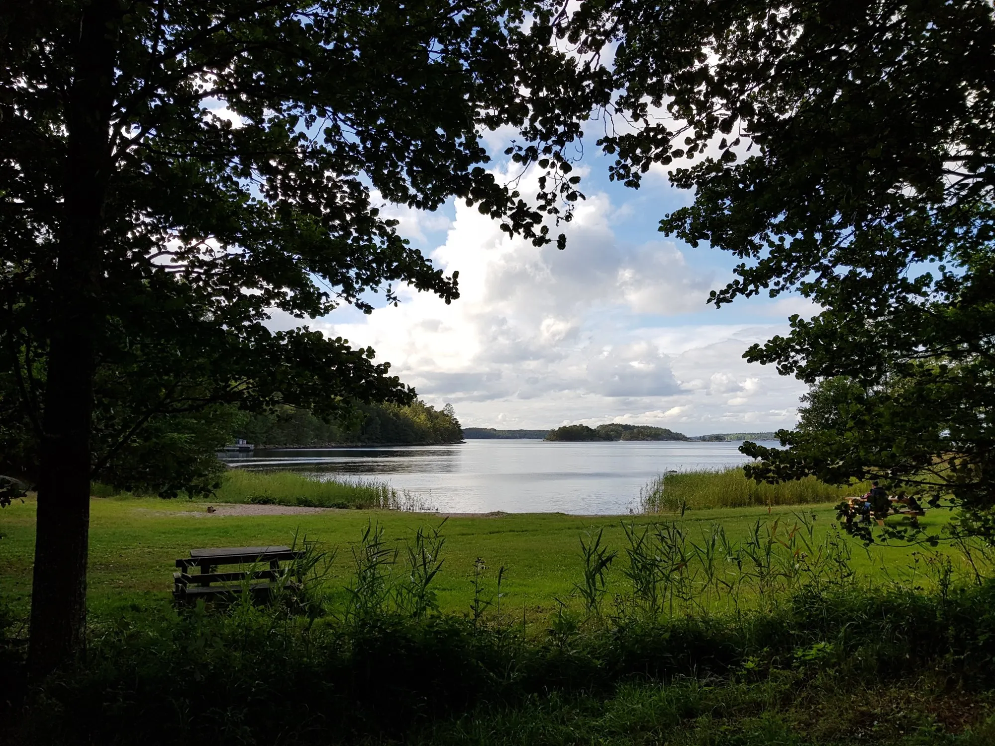 Peaceful lake view framed by trees, a place for reflection
